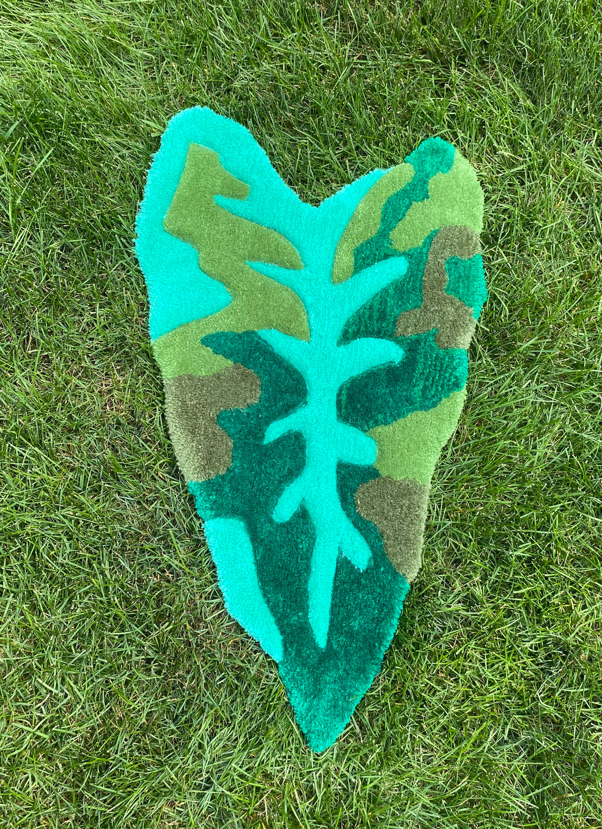 Alocasia Leaf